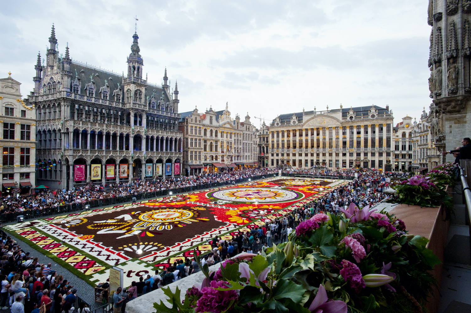 Bruxelles : ce Tapis de Fleurs géant est composé de 500 000 bégonias