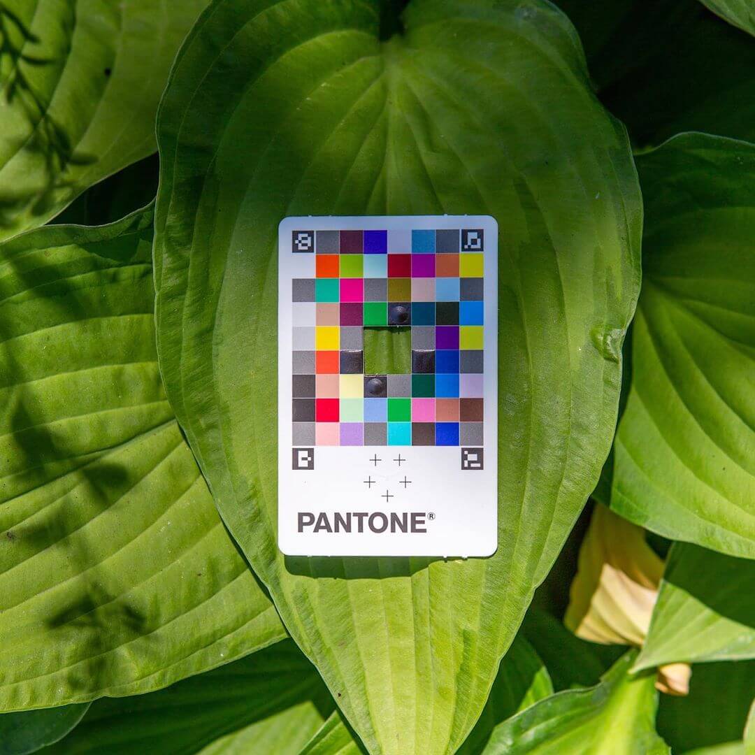 Pantone Color Match Card : la carte Pantone qui capture les couleurs dans le monde réel