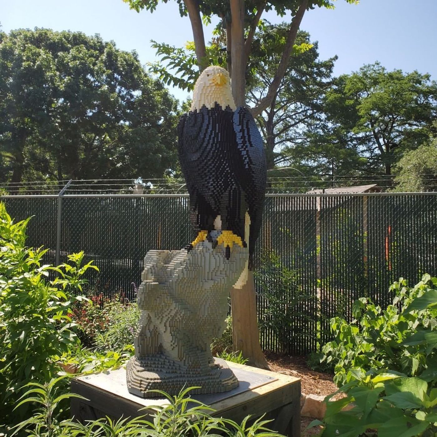Le zoo de San Antonio dévoile des répliques d'animaux avec des millions de LEGO