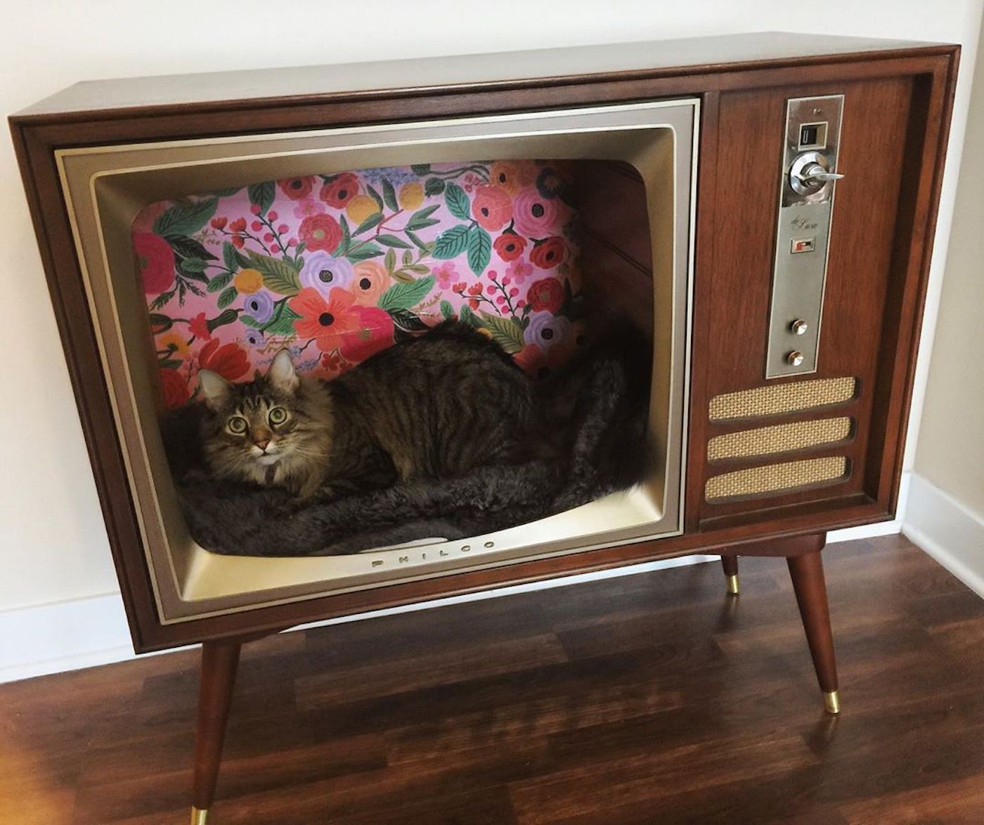 Recycler une télévision vintage en nid douillet pour votre chat