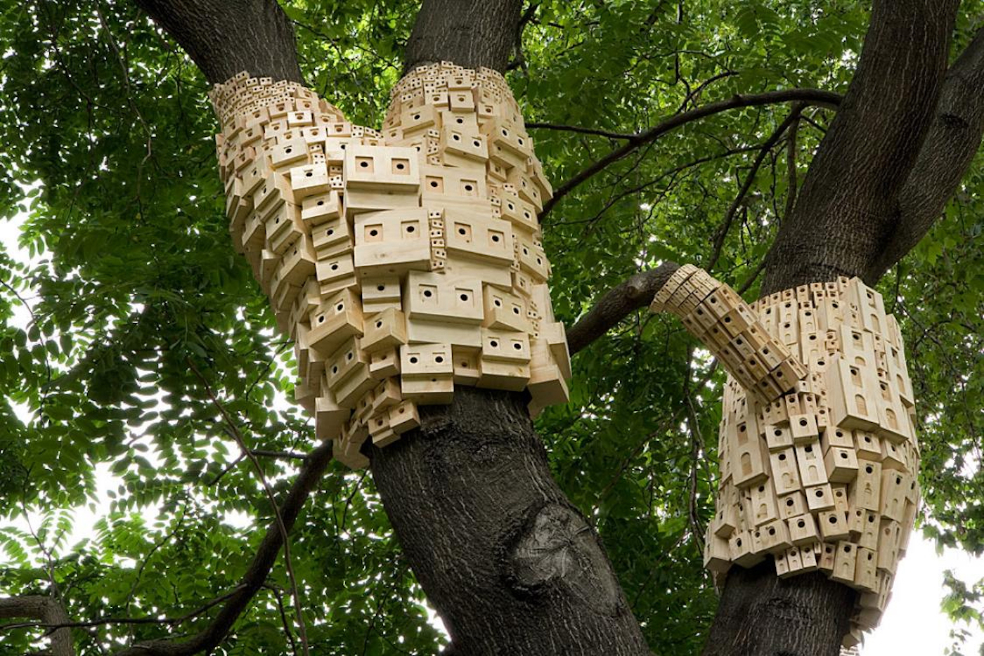 Le studio London Fieldworks crée des "hôtels pour oiseaux" qui s'étalent sur les troncs d'arbres