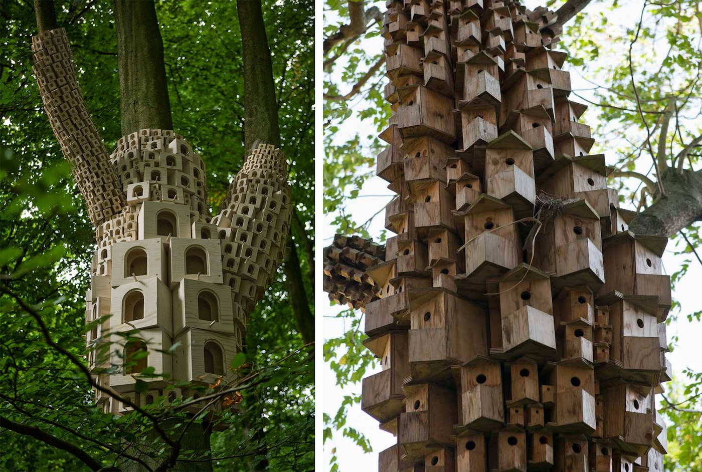 Le studio London Fieldworks crée des "hôtels pour oiseaux" qui s'étalent sur les troncs d'arbres