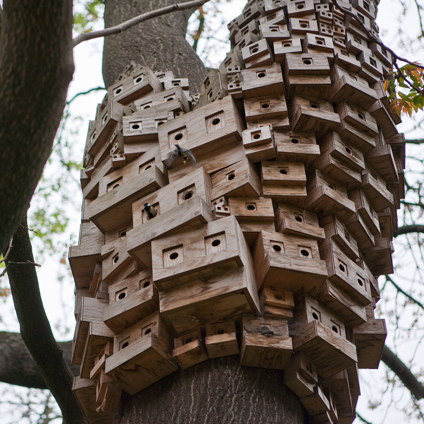 Le studio London Fieldworks crée des "hôtels pour oiseaux" qui s'étalent sur les troncs d'arbres