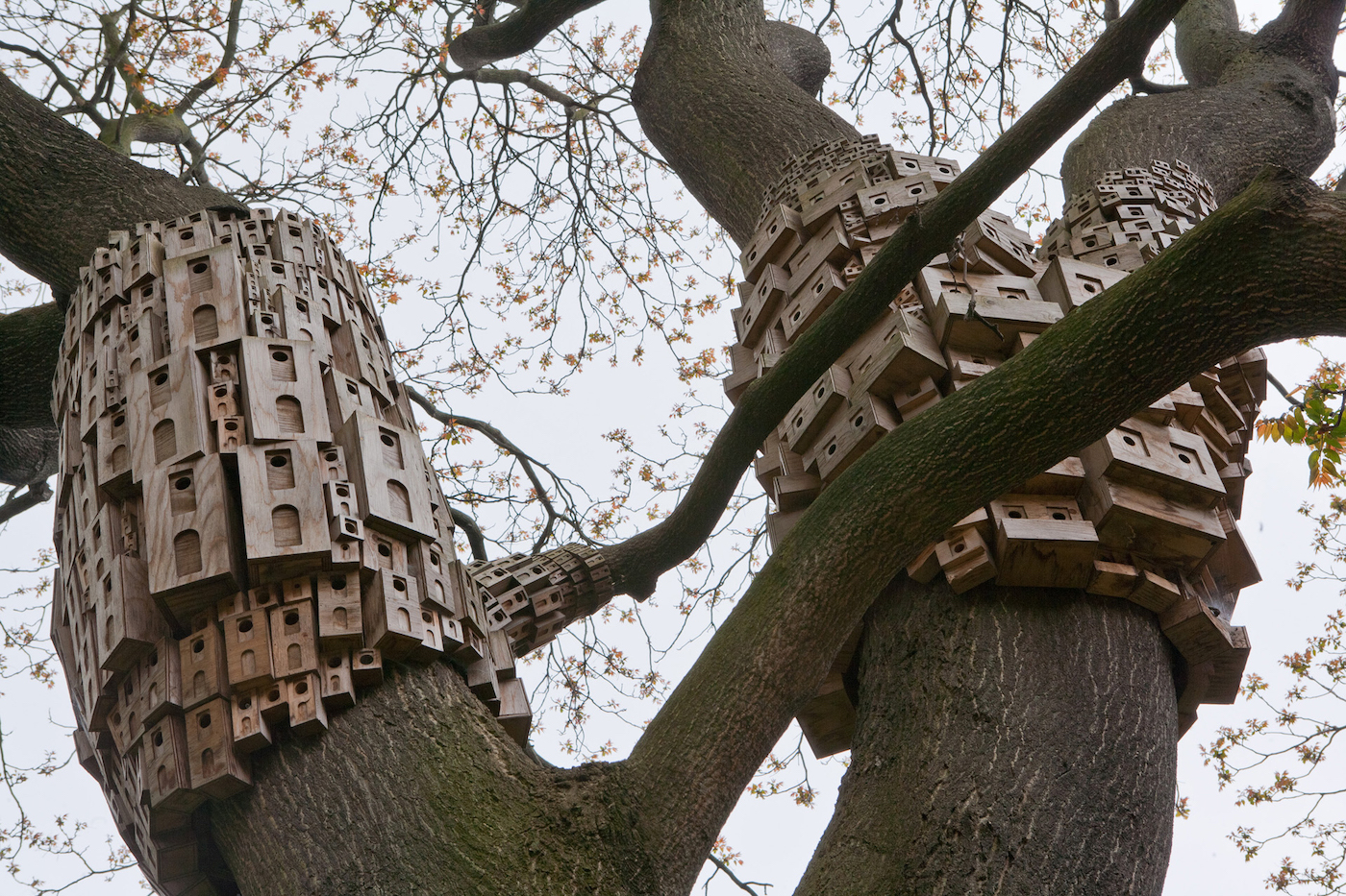 Le studio London Fieldworks crée des "hôtels pour oiseaux" qui s'étalent sur les troncs d'arbres