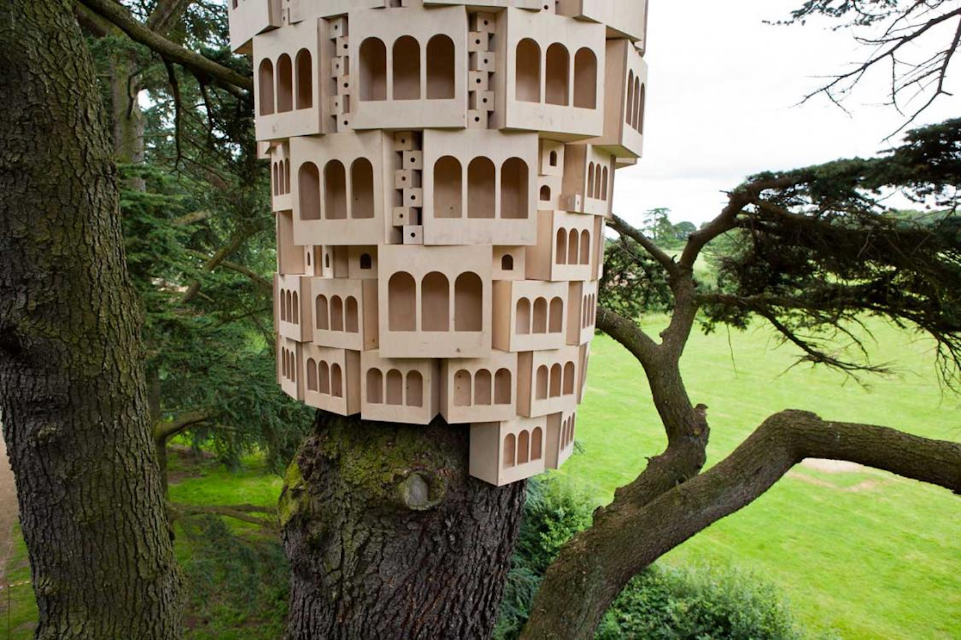 Le studio London Fieldworks crée des "hôtels pour oiseaux" qui s'étalent sur les troncs d'arbres