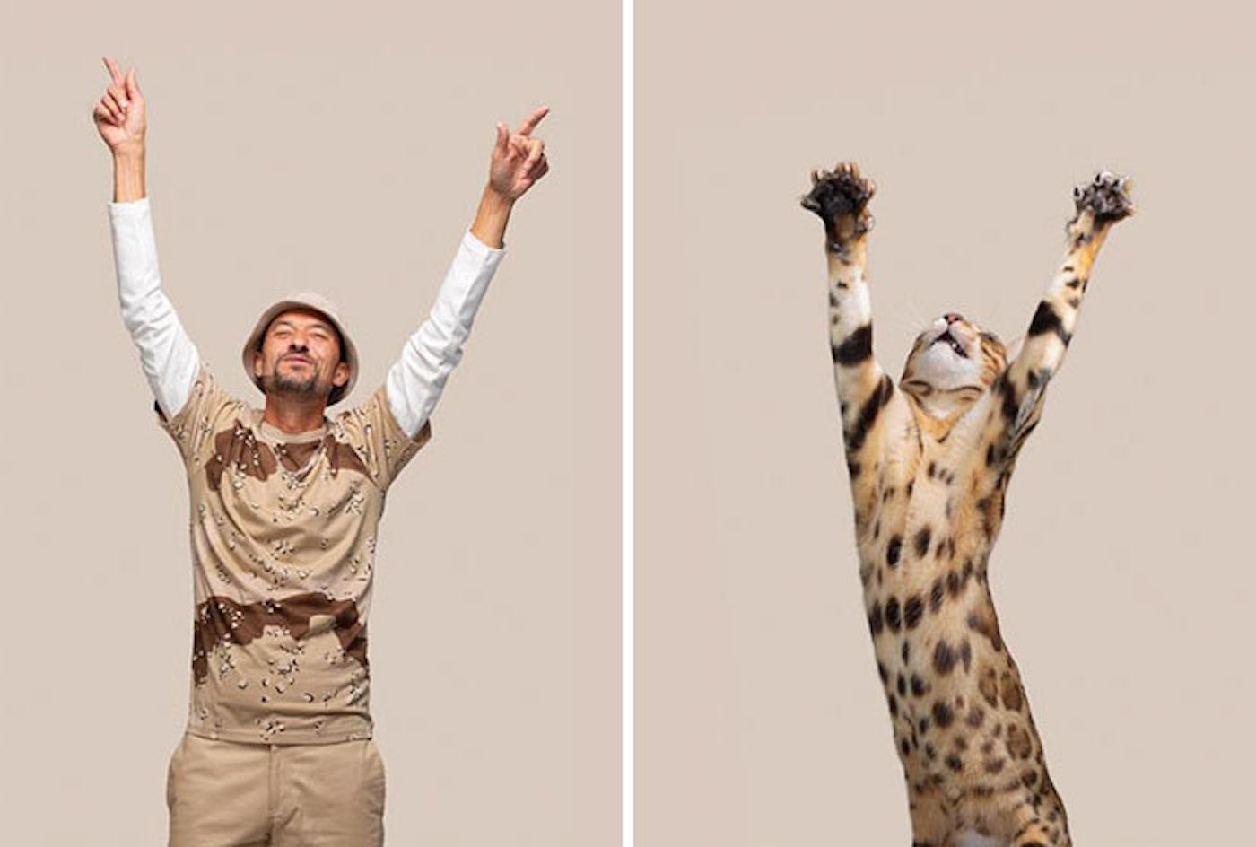 Le photographe Gerrard Gethings fait ressortir les ressemblances entre les chats et leurs maîtres