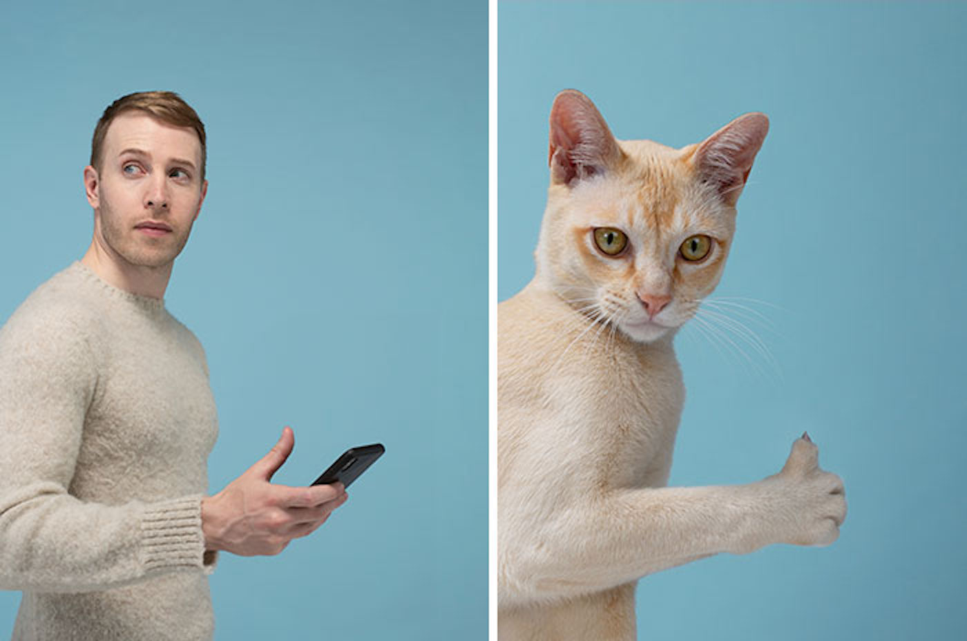 Le photographe Gerrard Gethings fait ressortir les ressemblances entre les chats et leurs maîtres