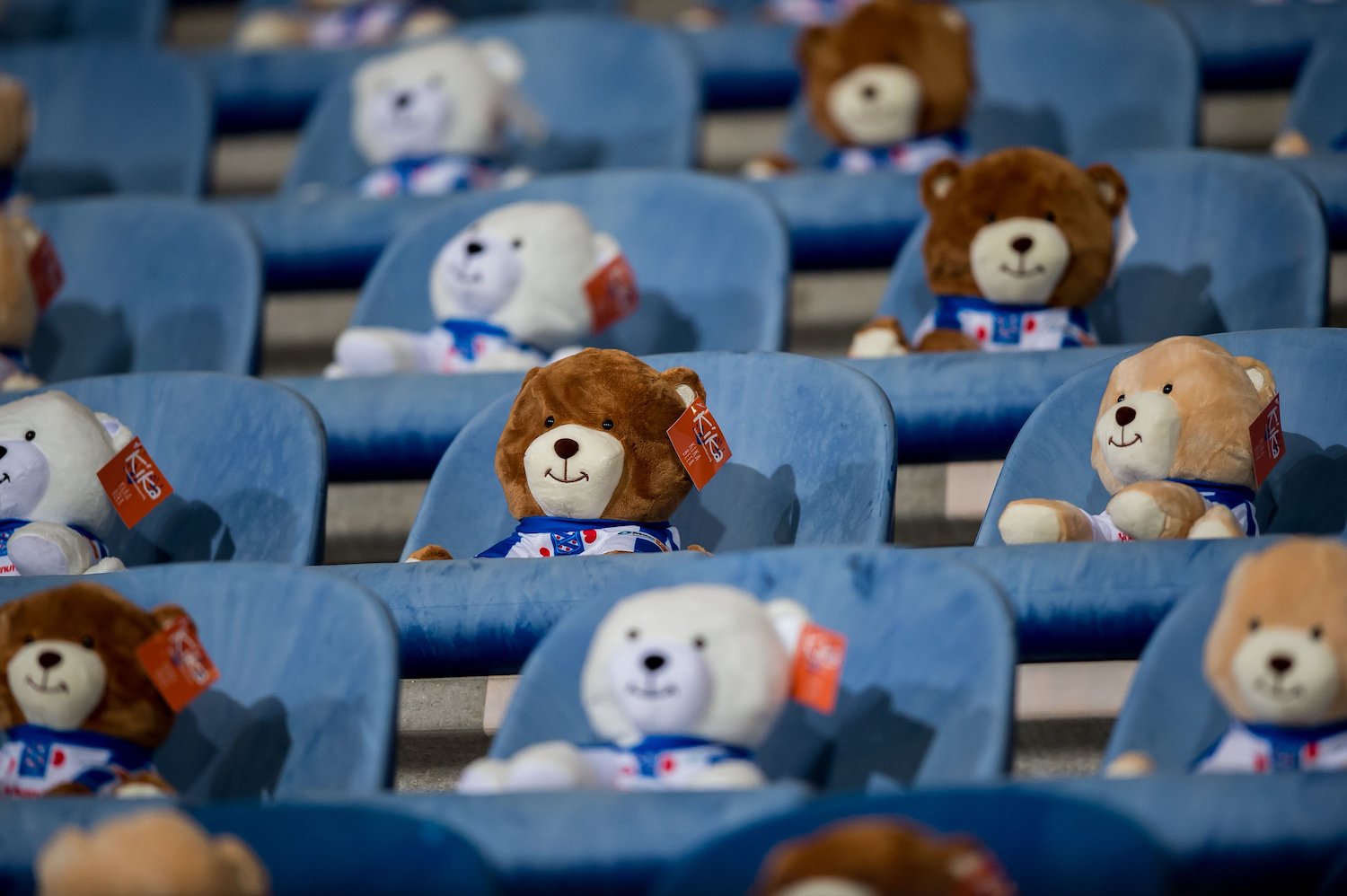 15000 oursons en peluche dans un stade pour lever de l'argent contre le cancer des enfants