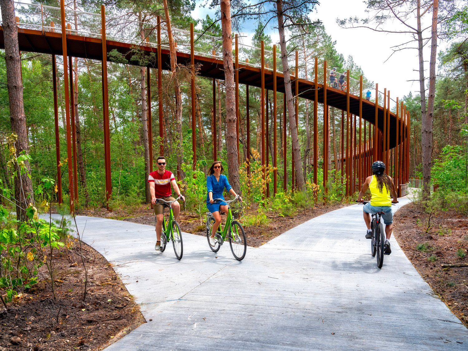 Belgique : une piste cyclable circulaire surélevée pour voir la forêt en hauteur