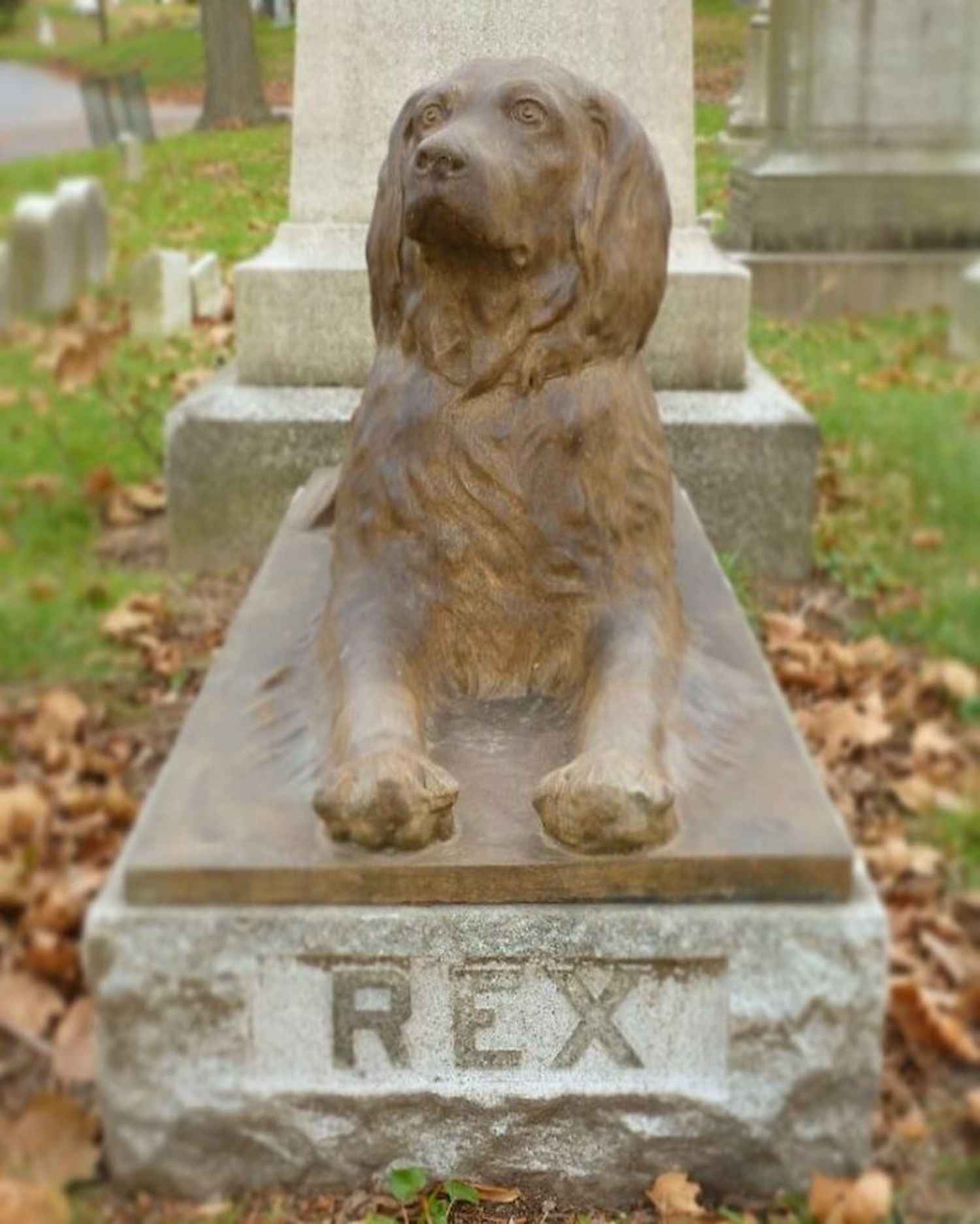 Dans ce cimetière, les visiteurs déposent un bâton sur la tombe centenaire d'un chien