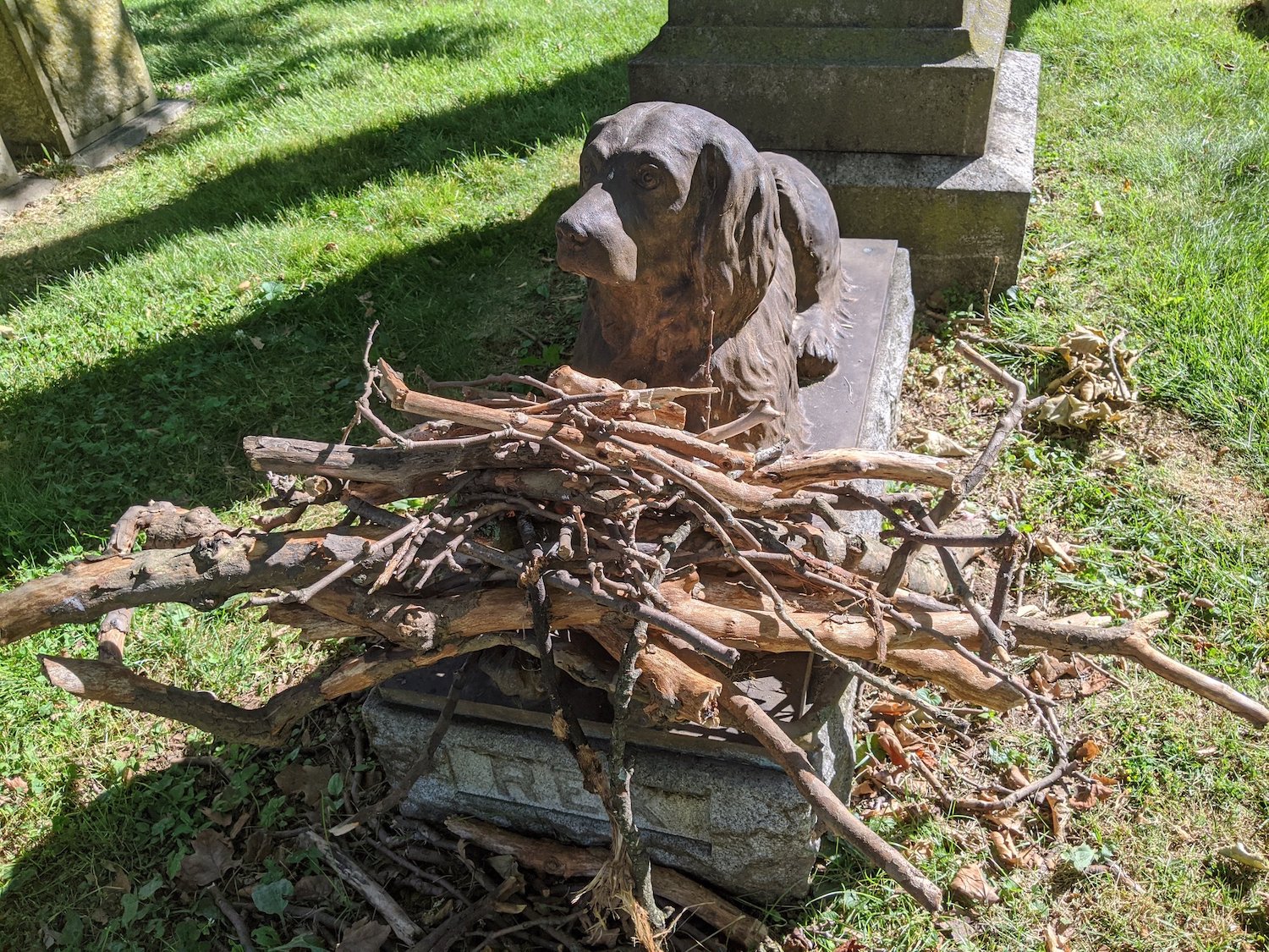 Dans ce cimetière, les visiteurs déposent un bâton sur la tombe centenaire d'un chien