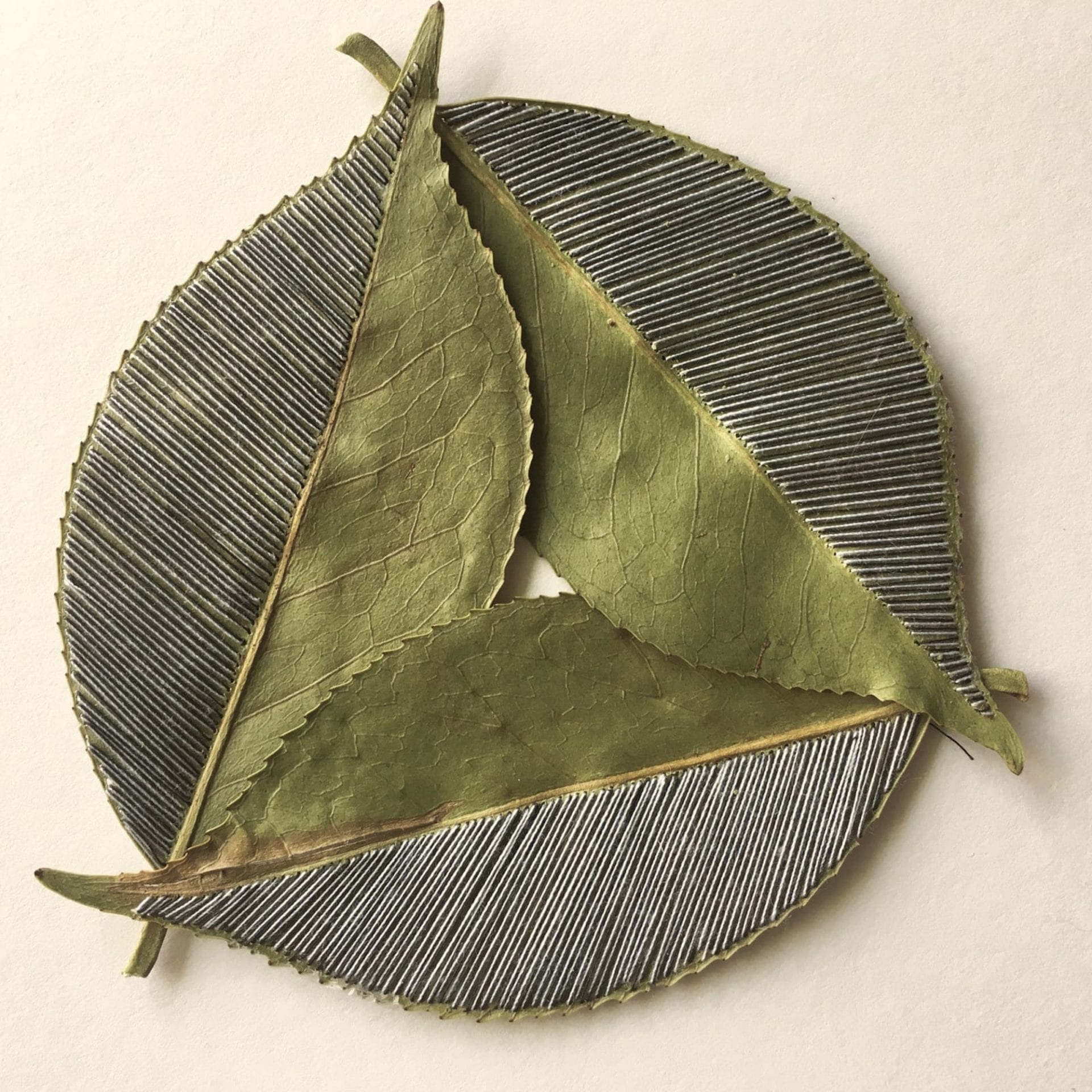 L’artiste Hillary Waters Fayle réalise de merveilleuses broderies sur des feuilles séchées