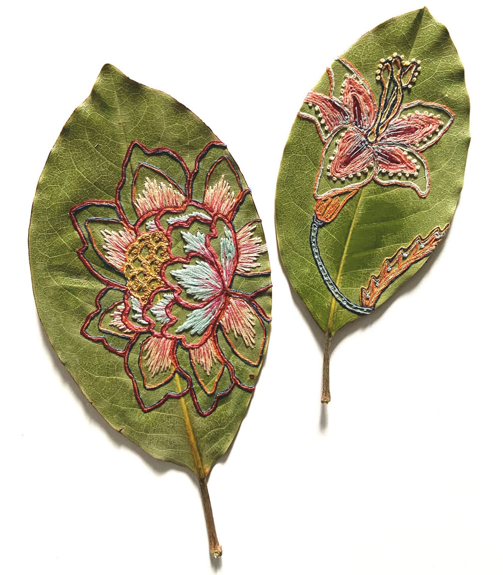 L’artiste Hillary Waters Fayle réalise de merveilleuses broderies sur des feuilles séchées