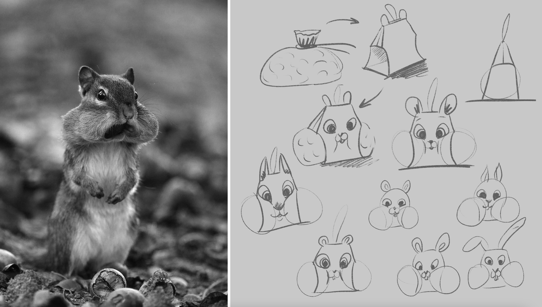 Un adorable packaging en forme d'écureuil pour vendre des noisettes
