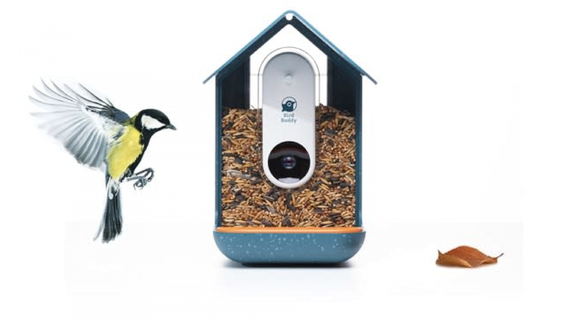 Bird Buddy : la mangeoire qui photographie et identifie les oiseaux en temps réel