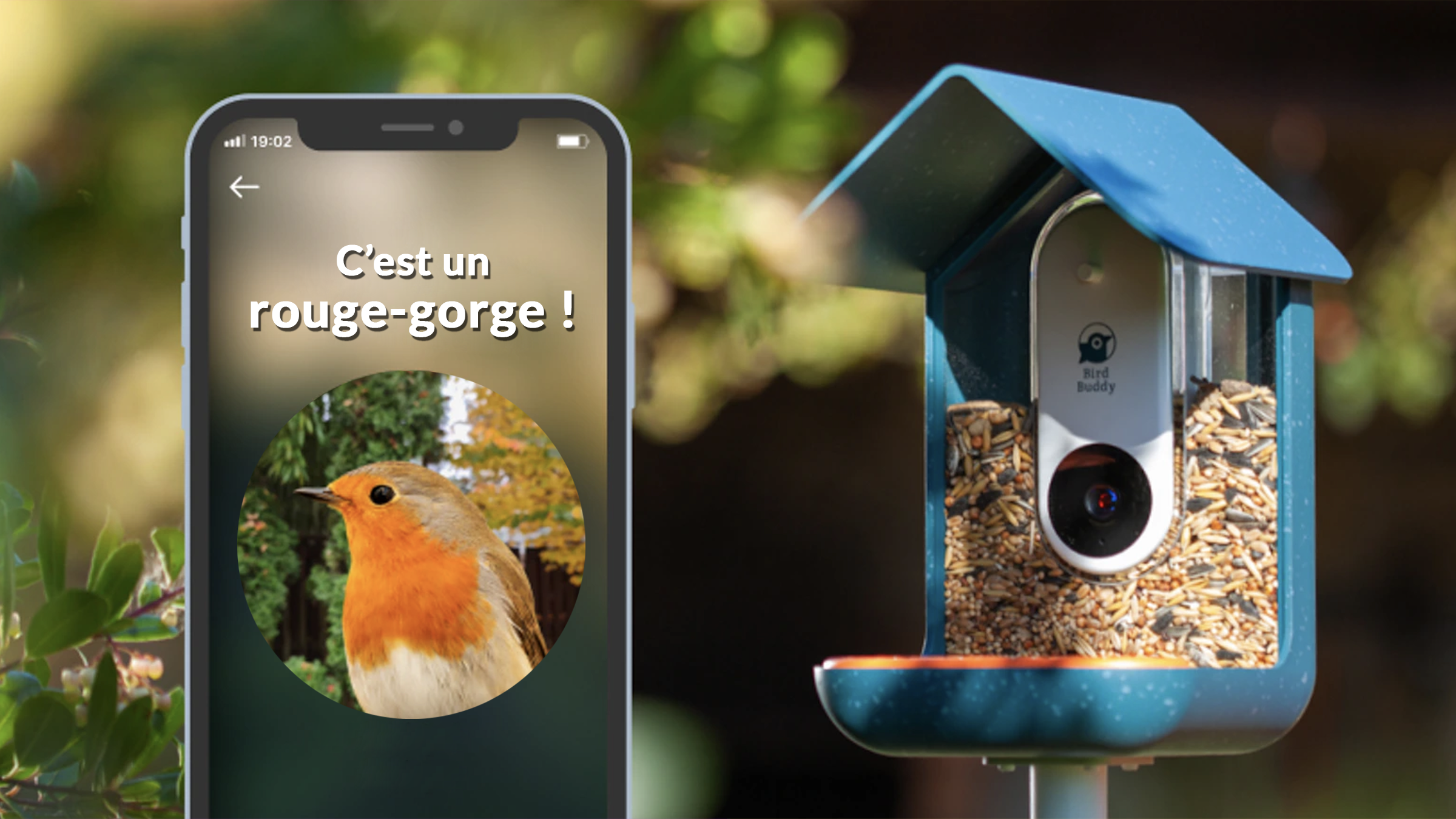 Acheter Mangeoire automatique pour oiseaux avec perchoir