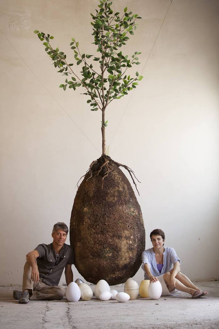 Capsula Mundi : la capsule funéraire qui transforme votre corps en arbre