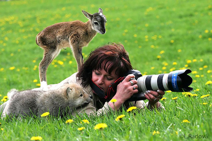 photographes-animaux-sauvages-4.jpeg