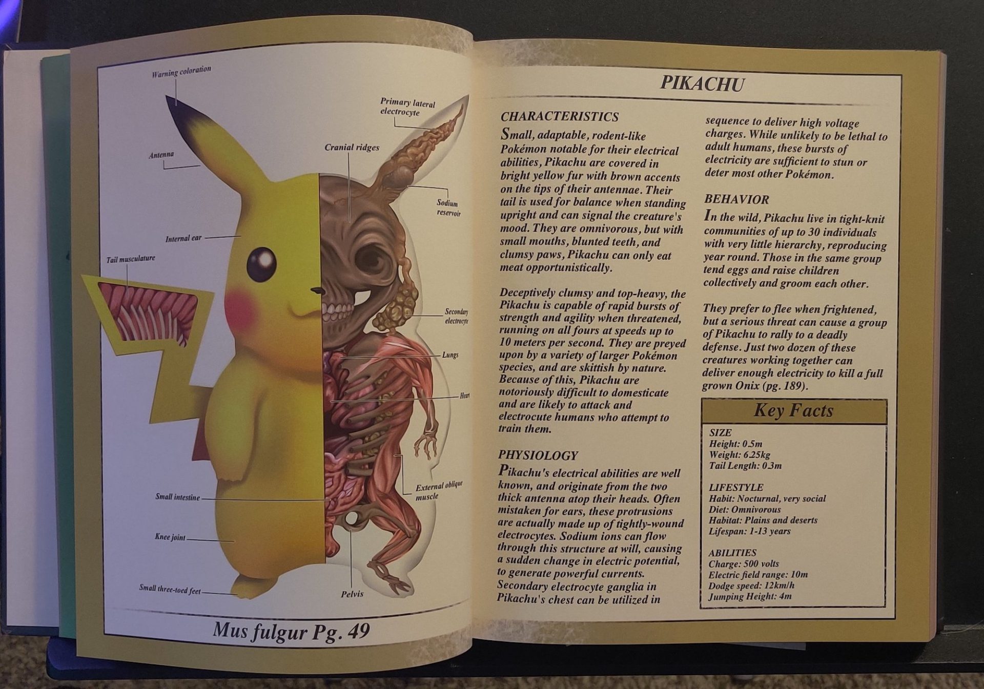PokéNatomy : un livre dédié à l'anatomie des Pokémon