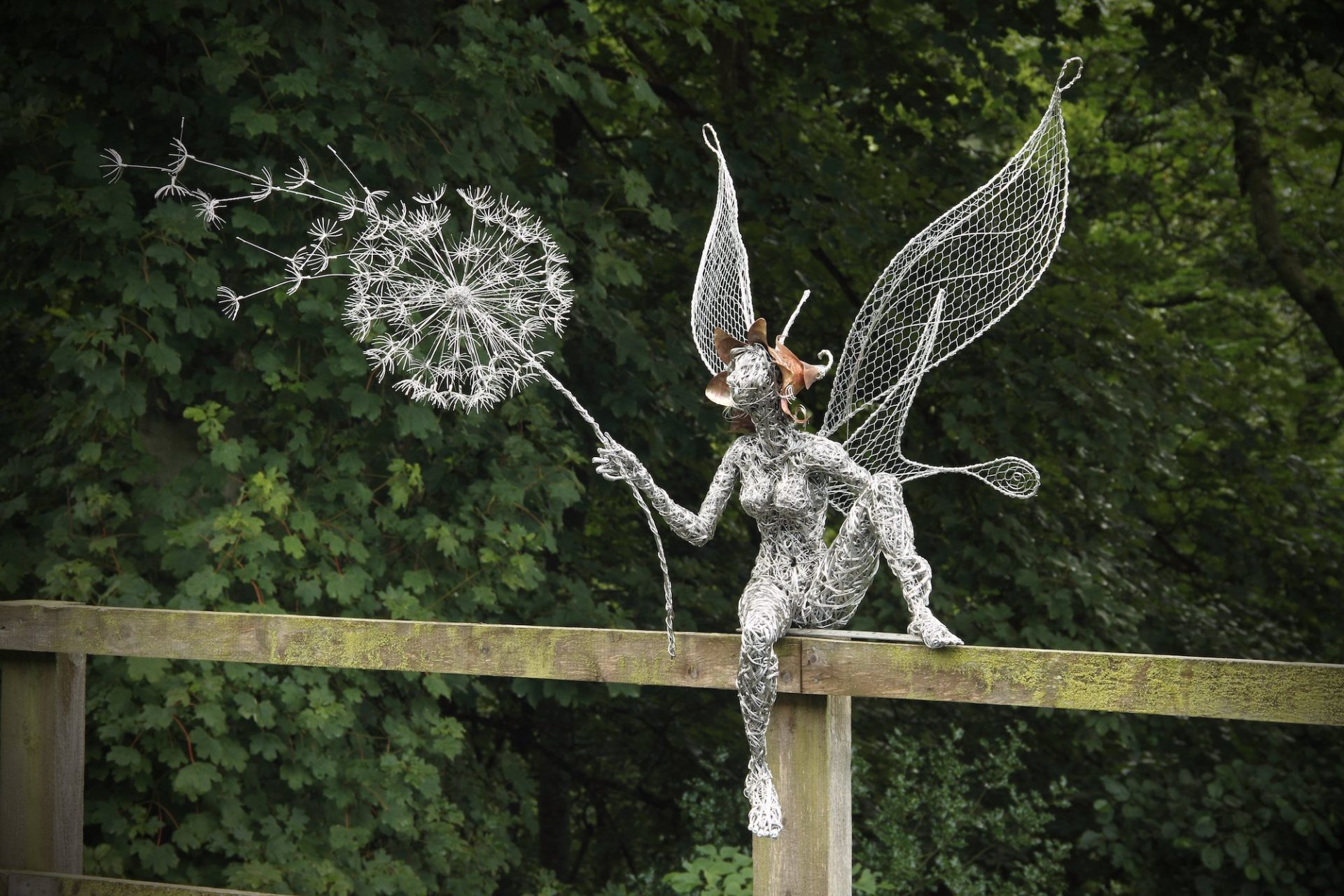 Robin Wight sculpte d'incroyables fées aux pissenlits avec des fils de fer
