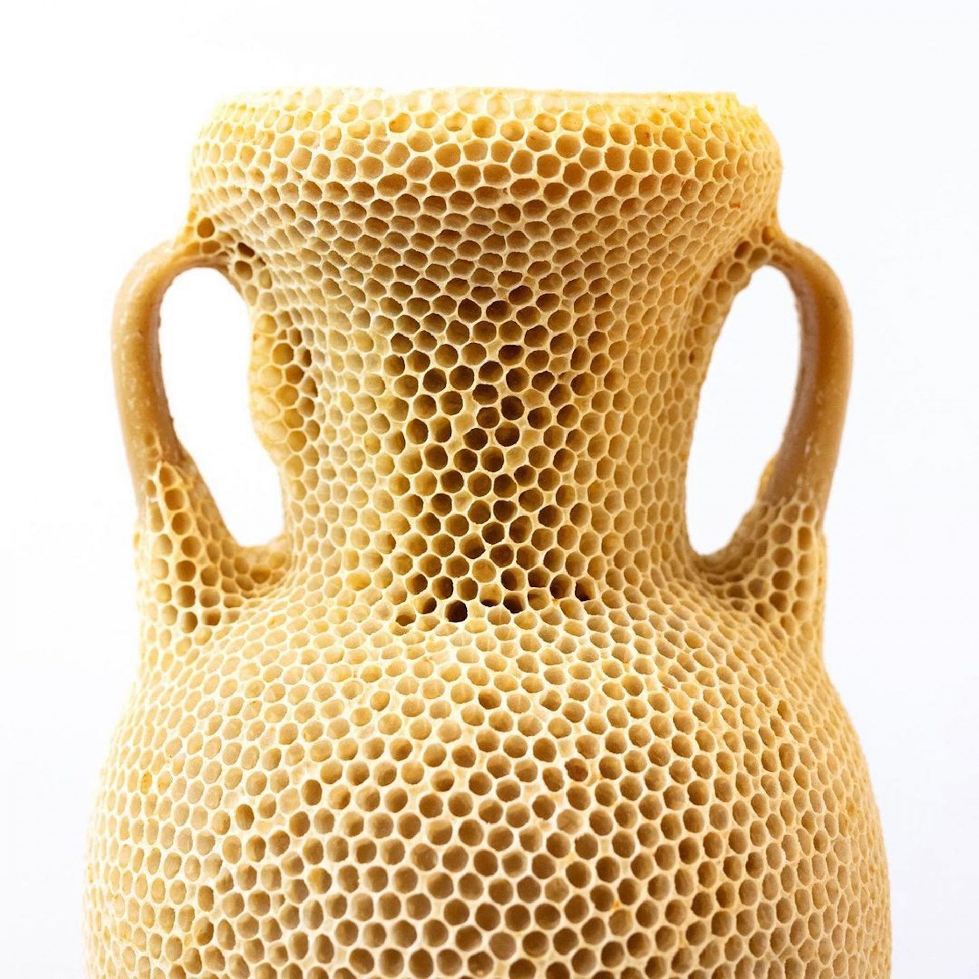 Une amphore sculptée en cire d'abeille par Tomáš Libertíny