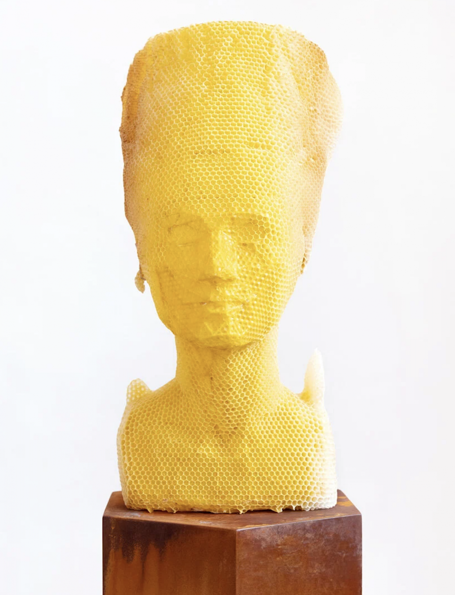 L'artiste Tomáš Libertíny laisse 60 000 abeilles sculpter le buste de Néfertiti