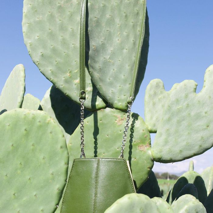 Un cuir végétal conçu avec du cactus