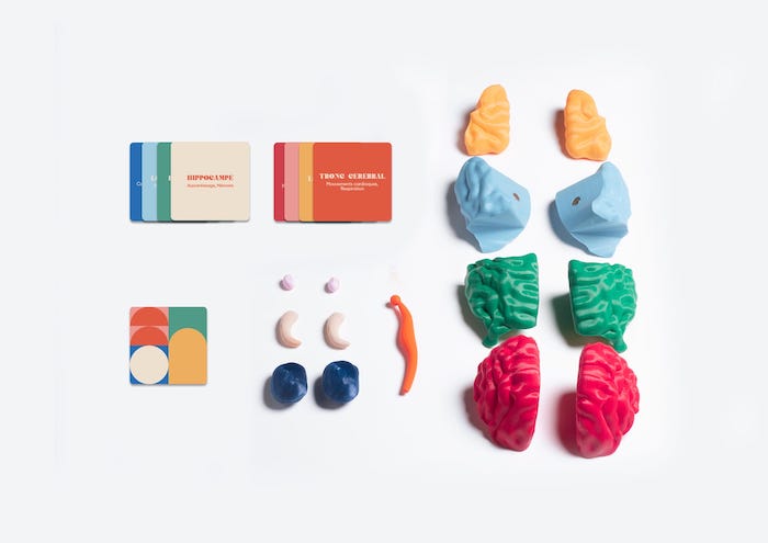 Brain : un puzzle éducatif en 3D pour expliquer l'épilepsie aux enfants par Andréa Harcourt
