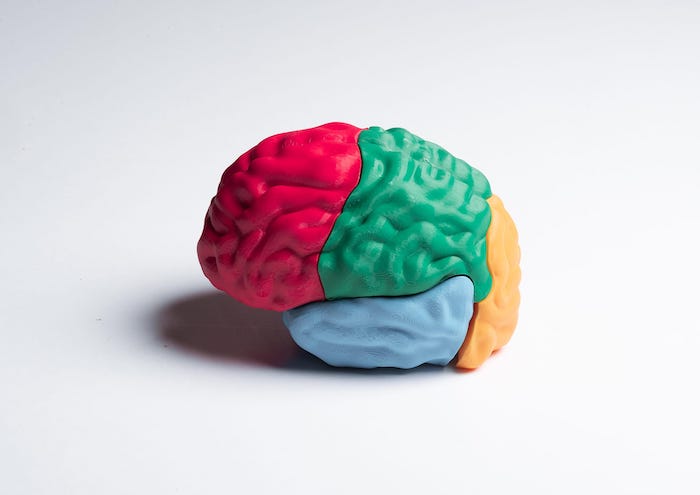 Brain : un puzzle éducatif en 3D pour expliquer l'épilepsie aux enfants par Andréa Harcourt