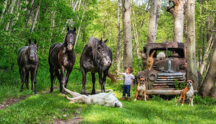 La photographe Tasha Hall capture les familles avec... tous leurs animaux (30 photos)