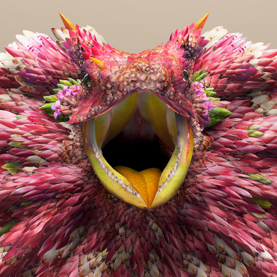 Avec des fleurs et des feuilles, l'artiste digital Josh Dykgraaf recrée des animaux