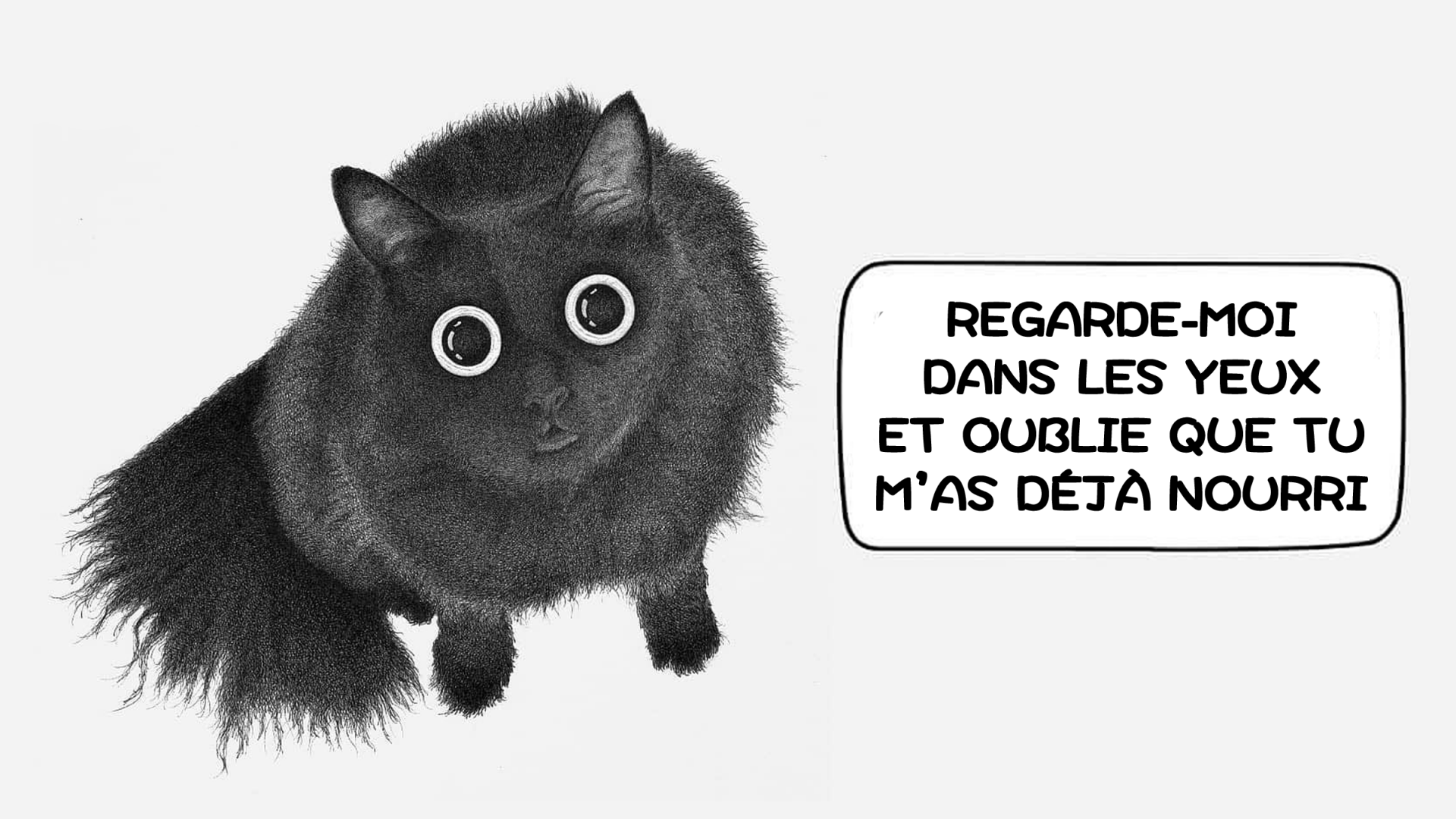 L Illustrateur Luis Coelho Nous Plonge Dans Les Pensees Des Chats Avec Humour