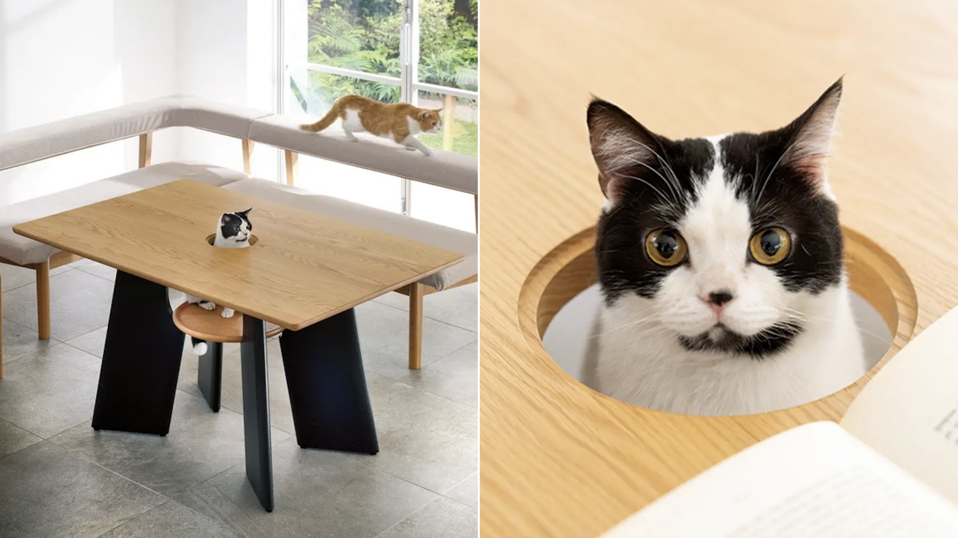 Lit pour chat en bois, lit pour chat en chêne, meubles pour chats