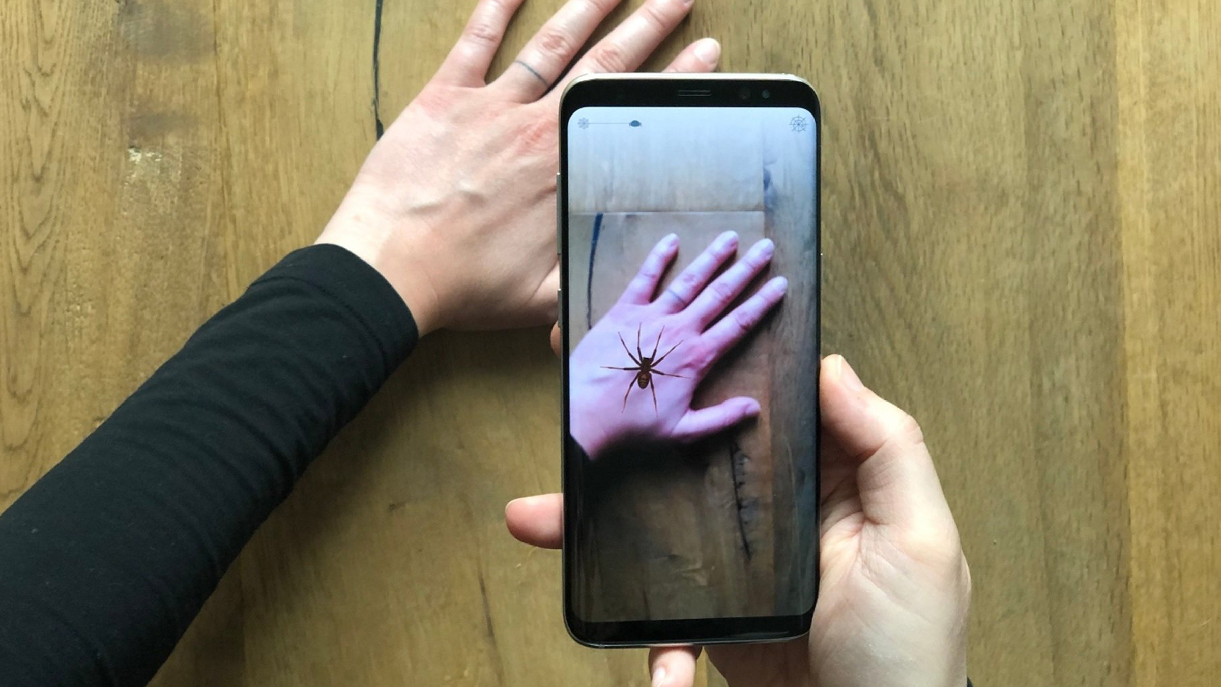 Phobys : l'app qui veut guérir votre phobie des araignées avec la réalité augmentée