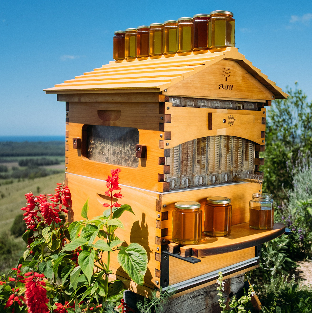 Flow Hive : une ruche innovante qui sert du miel à la pression