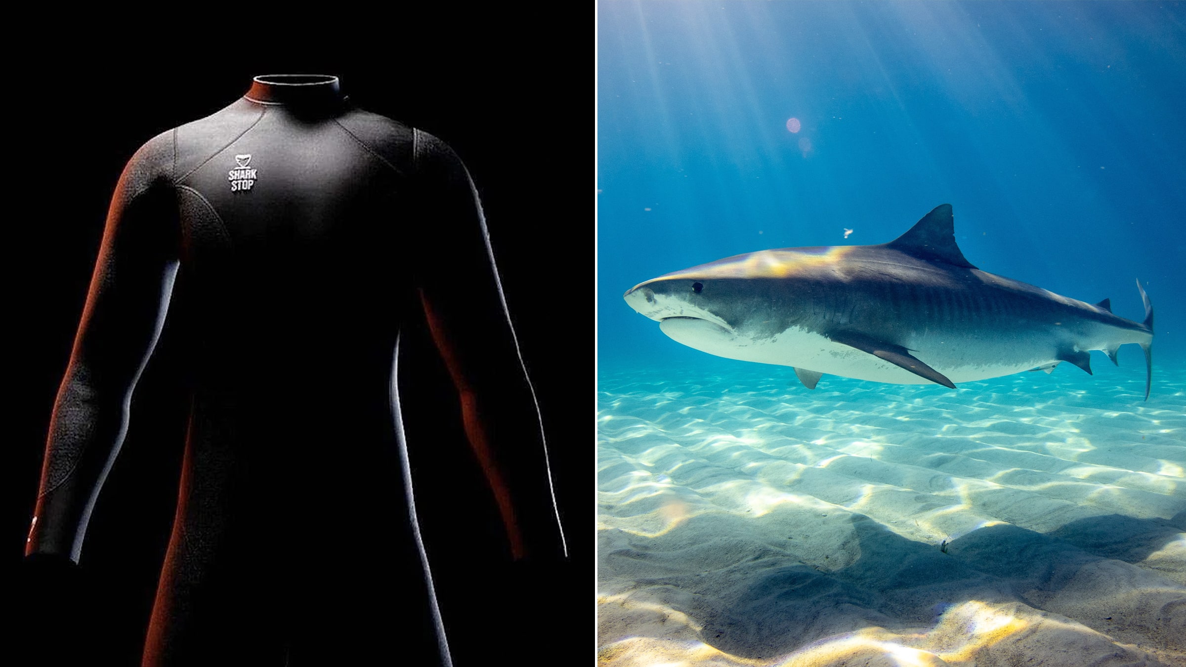 Cette combinaison de surf a été conçue pour résister aux attaques de requins