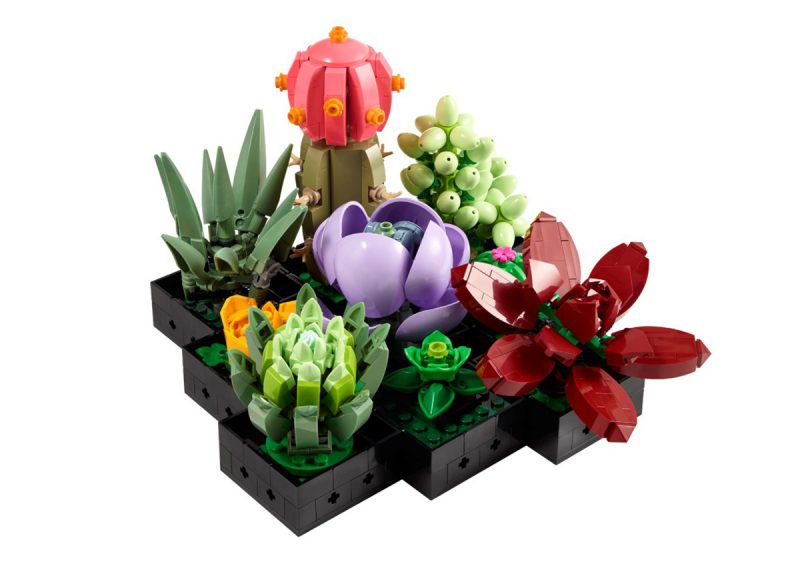 LEGO d?�voile une orchid?�e et une plante succulente ?� monter soi-m??me