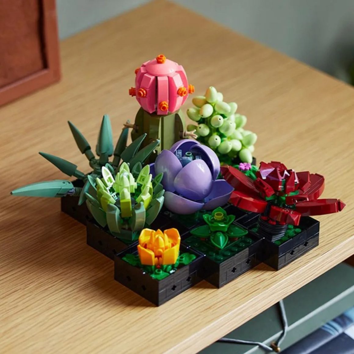 lego-d-voile-une-orchid-e-et-une-plante-succulente-monter-soi-m-me