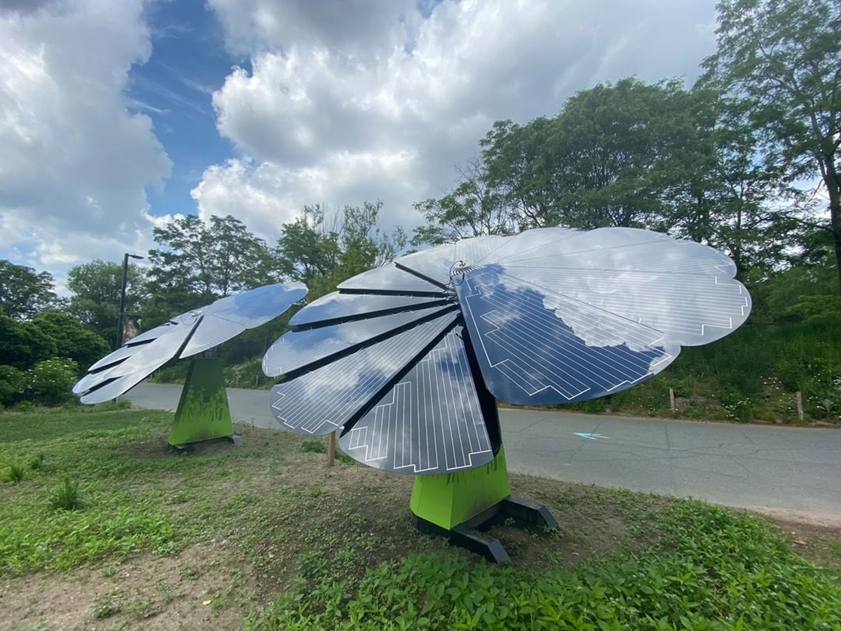 Smartflower : un panneau solaire en forme de fleur qui suit les