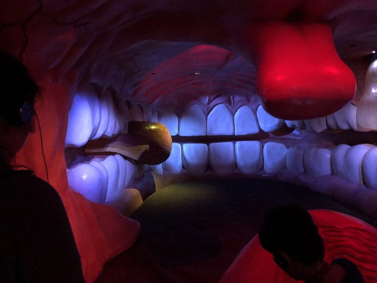 Ce musée des PaysBas offre une immersion complète dans le corps humain GeekQc.ca