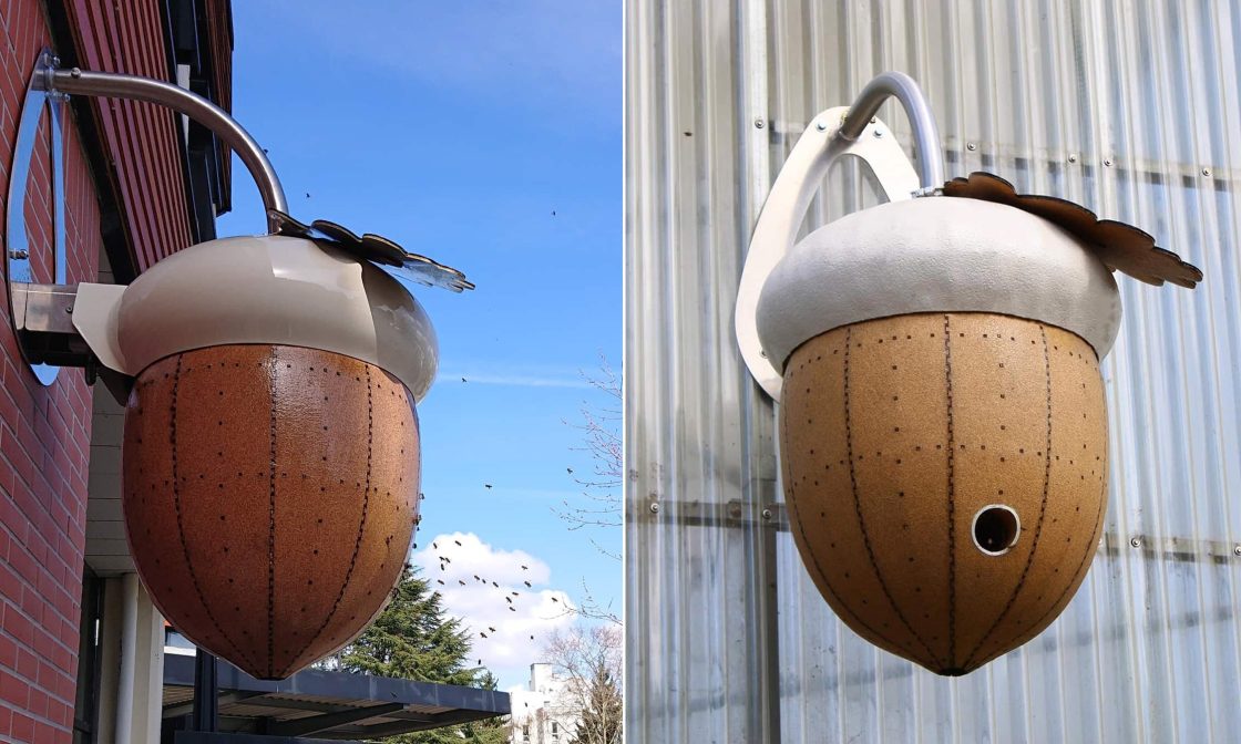 Protecteur De Corne De Vache - SHIPENOPHY - Housse En Silicone - Anti-combat - Confortable - Non