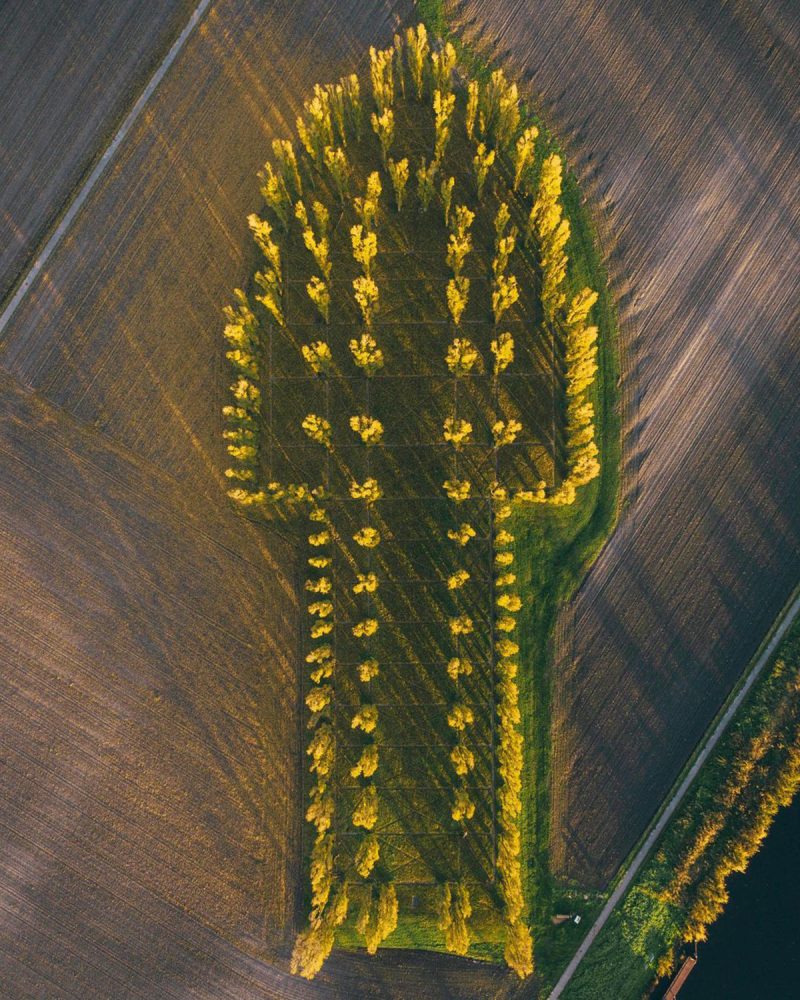 Pays Bas une Cathédrale Verte à ciel ouvert formée à partir de 178