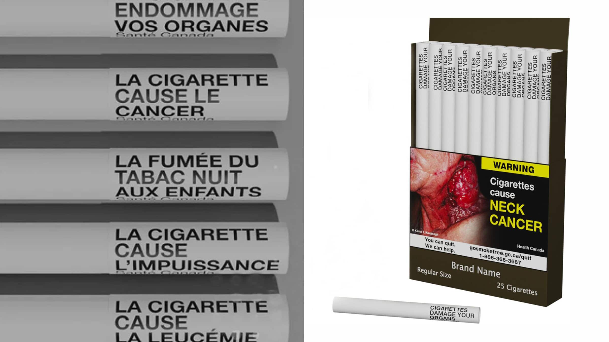 Les filtres à cigarette font plus de mal que de bien – DAILY SCIENCE