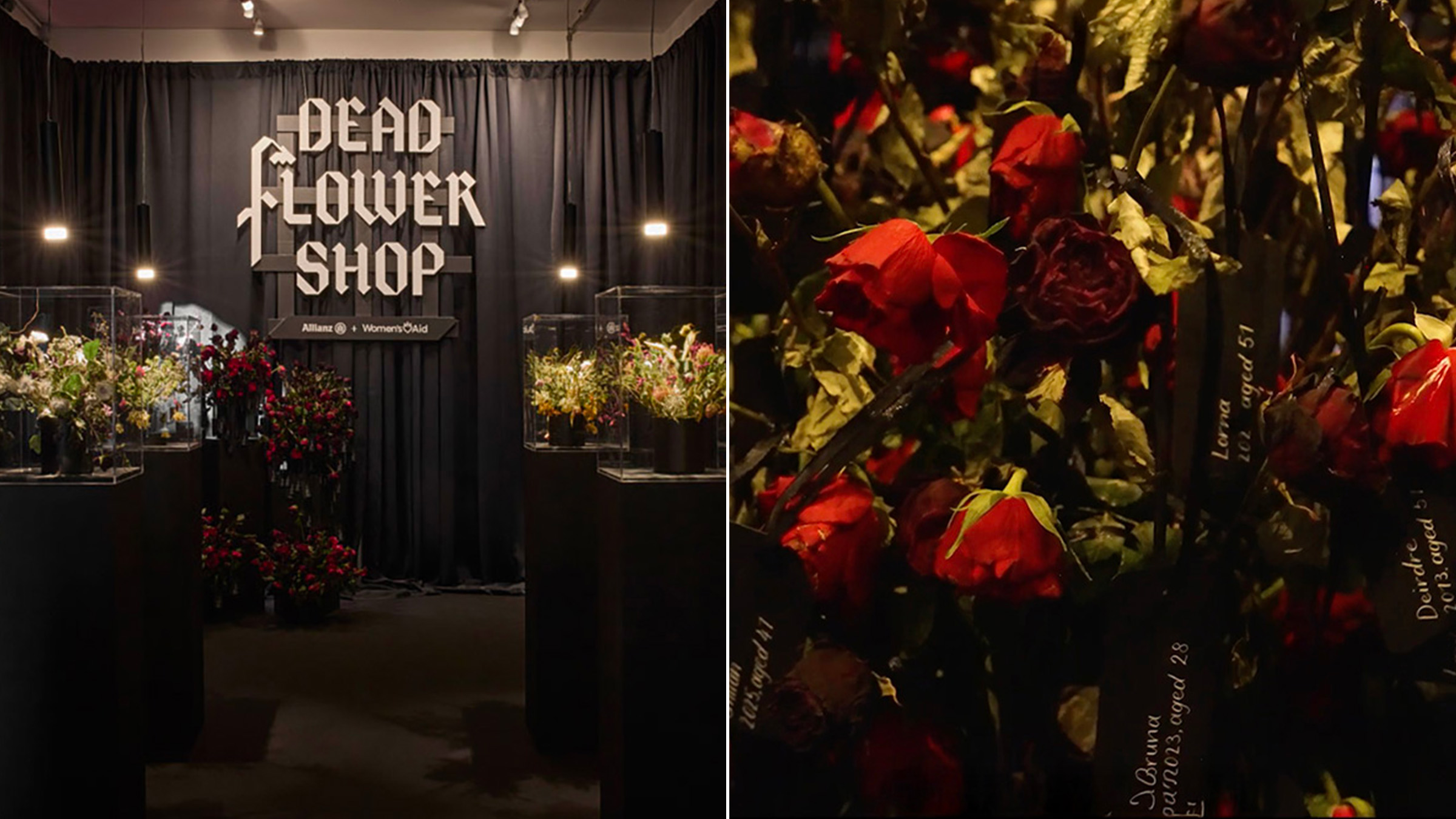 Cette boutique ne vend que des fleurs fanées pour dénoncer les violences faites aux femmes