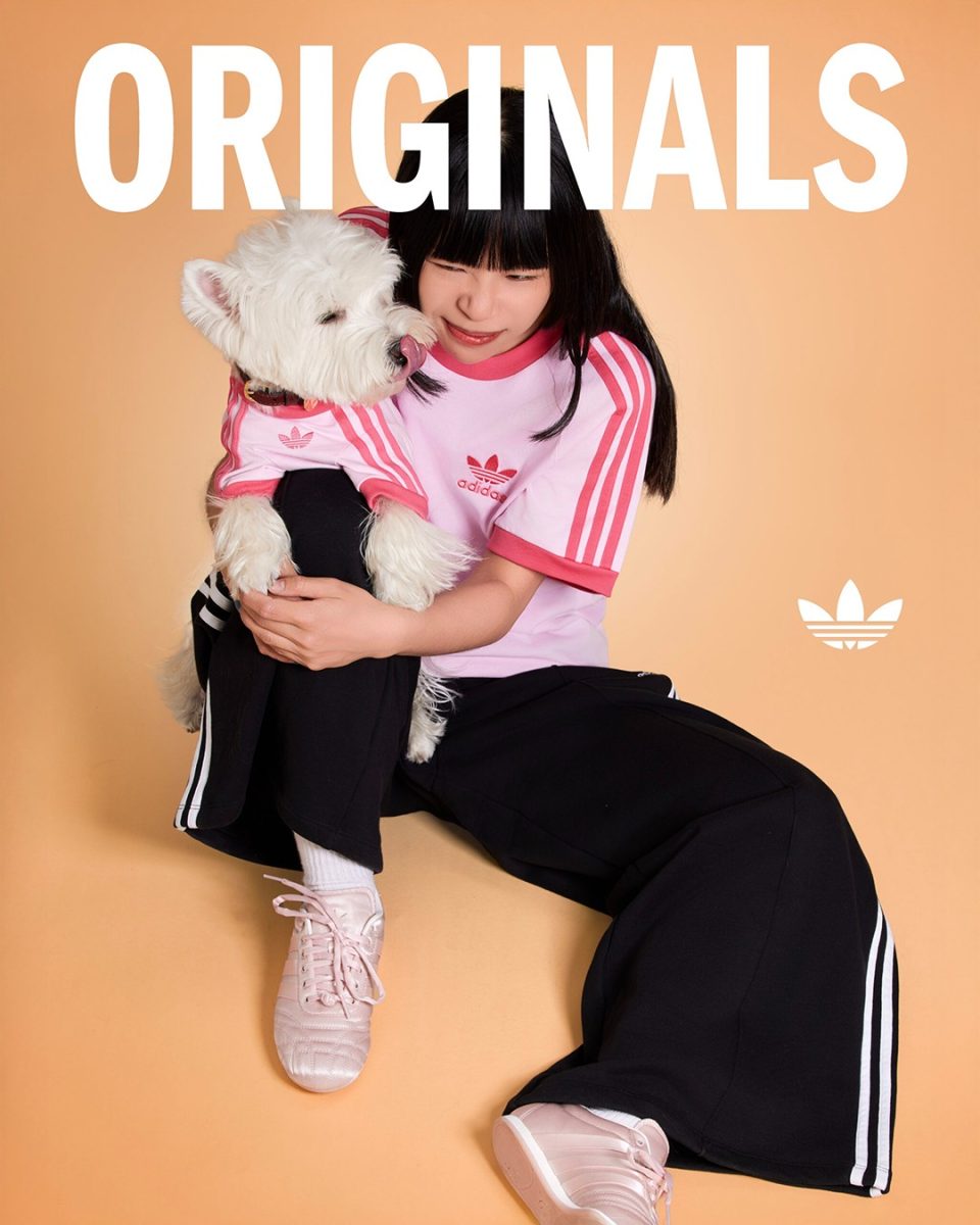 Adidas lance une collection pour assortir votre look ?� celui de votre animal