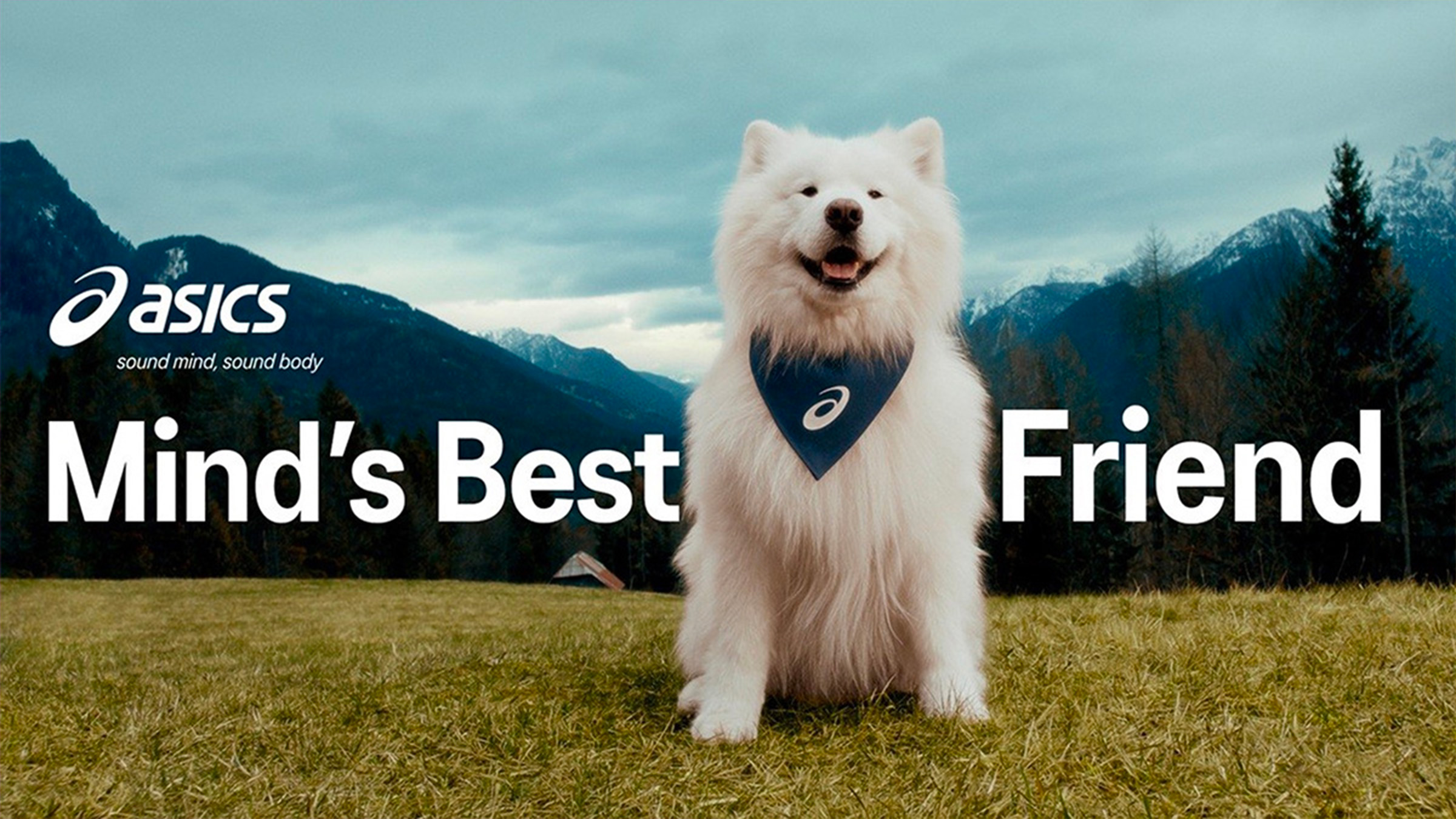 ASICS recrute un chien influenceur en coach bien-être pour inciter à bouger